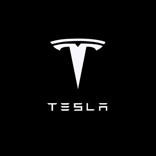 LED Tesla Logo Puddle Lights Car Door Lights For Model 3/ Y/ X/ S Model 3 Highland - Image 14