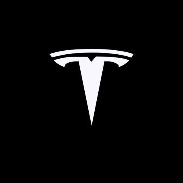 LED Tesla Logo Puddle Lights Car Door Lights For Model 3/ Y/ X/ S Model 3 Highland - Image 15