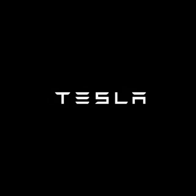 LED Tesla Logo Puddle Lights Car Door Lights For Model 3/ Y/ X/ S Model 3 Highland - Image 16